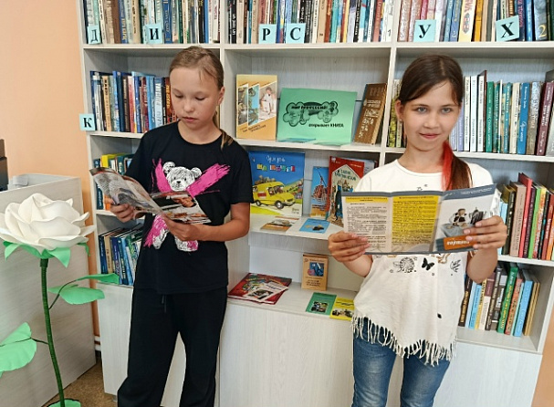 Книжная выставка-рекомендация «Мир профессий открывает книга» в Тораевской сельской библиотеке